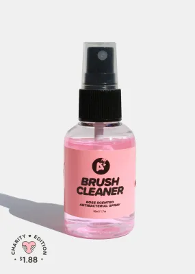 A  AOA Brush Cleaning Spray - Rose