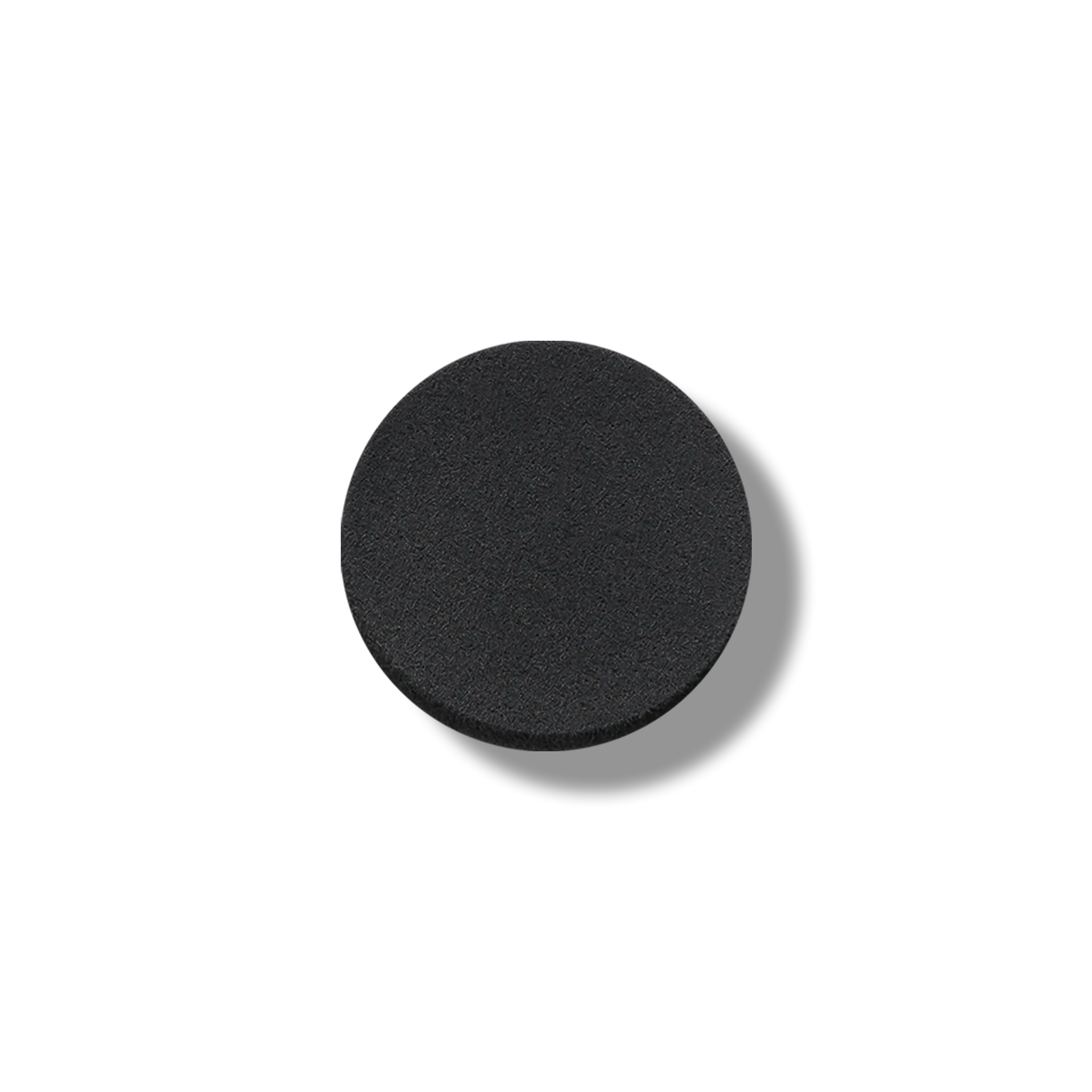 Anna Sui Illuminating Cushion Compact Sponge