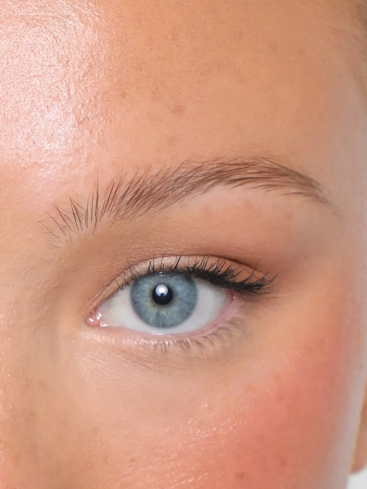 Brow Tint