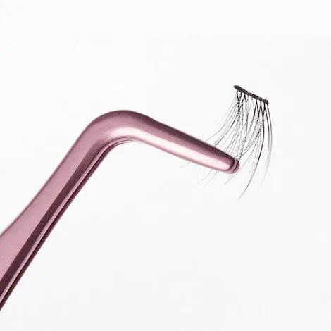 KISS Falscara Eyelash - Starter Kit 01